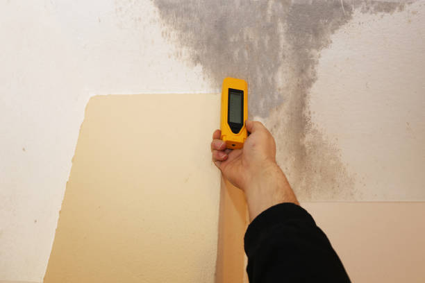 Best Asbestos and Lead Testing During Mold Inspection  in , GA
