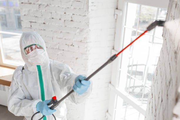 Best Post-Construction Mold Inspection  in , GA