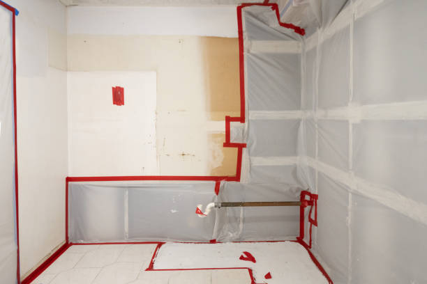 Best Mold Documentation for Insurance Claims  in , GA