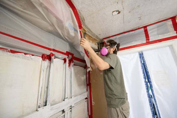 Best Residential Mold Inspection & Testing  in , GA