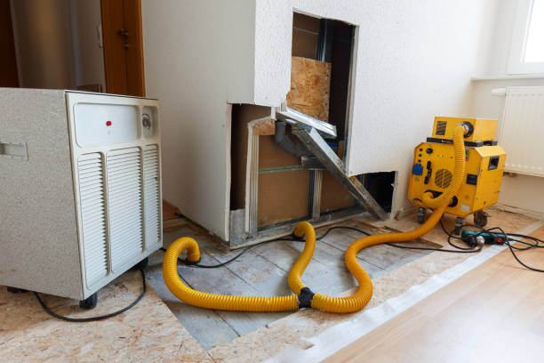 Best Biohazard Mold Removal  in , GA
