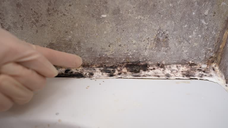 Best Industrial Mold Remediation  in , GA