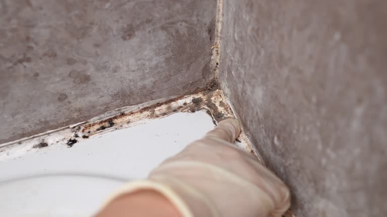 Best Comprehensive Air Testing for Mold Contaminants  in , GA